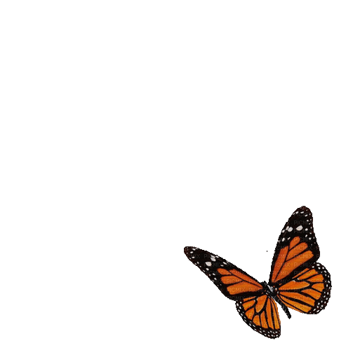 1640108_e87a0